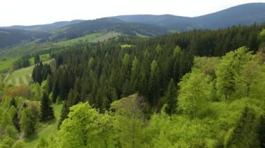 Blauen dağının üzerinden uçan İHA Belchen, Kara Orman, Almanya