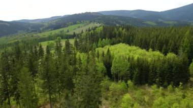 Blauen dağının üzerinden uçan İHA Belchen, Kara Orman, Almanya