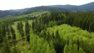 Blauen dağının üzerinden uçan İHA Belchen, Kara Orman, Almanya
