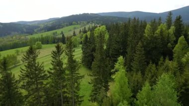 Blauen dağının üzerinden uçan İHA Belchen, Kara Orman, Almanya