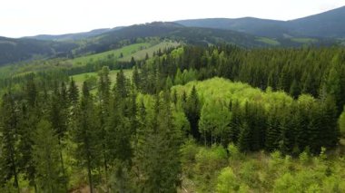 Blauen dağının üzerinden uçan İHA Belchen, Kara Orman, Almanya