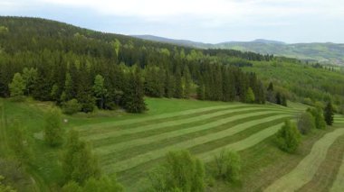 Blauen dağının üzerinden uçan İHA Belchen, Kara Orman, Almanya