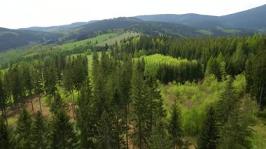 Blauen dağının üzerinden uçan İHA Belchen, Kara Orman, Almanya