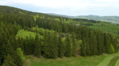 Blauen dağının üzerinden uçan İHA Belchen, Kara Orman, Almanya