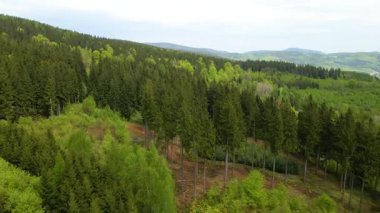 Blauen dağının üzerinden uçan İHA Belchen, Kara Orman, Almanya
