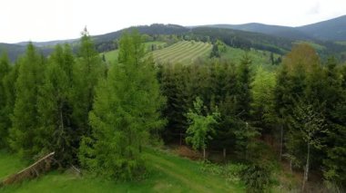 Blauen dağının üzerinden uçan İHA Belchen, Kara Orman, Almanya