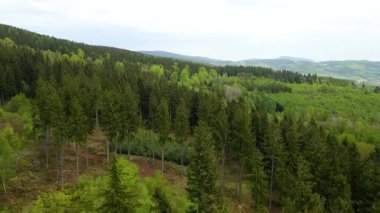 Blauen dağının üzerinden uçan İHA Belchen, Kara Orman, Almanya