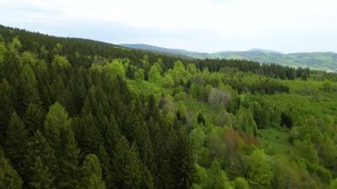 Blauen dağının üzerinden uçan İHA Belchen, Kara Orman, Almanya