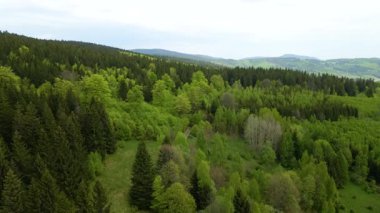 Blauen dağının üzerinden uçan İHA Belchen, Kara Orman, Almanya