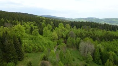 Blauen dağının üzerinden uçan İHA Belchen, Kara Orman, Almanya