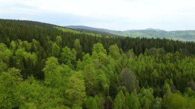 Blauen dağının üzerinden uçan İHA Belchen, Kara Orman, Almanya