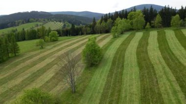 Blauen dağının üzerinden uçan İHA Belchen, Kara Orman, Almanya