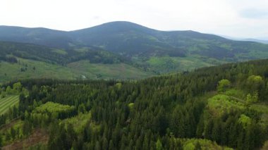 Blauen dağının üzerinden uçan İHA Belchen, Kara Orman, Almanya