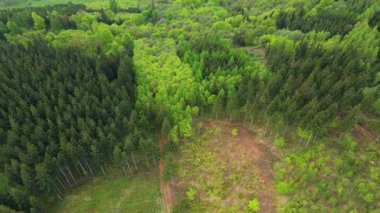 Blauen dağının üzerinden uçan İHA Belchen, Kara Orman, Almanya