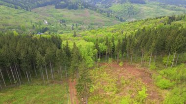 Blauen dağının üzerinden uçan İHA Belchen, Kara Orman, Almanya