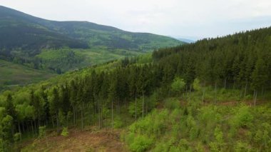 Blauen dağının üzerinden uçan İHA Belchen, Kara Orman, Almanya