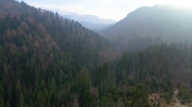 Polonya 'nın Zakopane kenti dağ sırasındaki insansız hava aracı şehrin yakınlarında kış karı görüyor