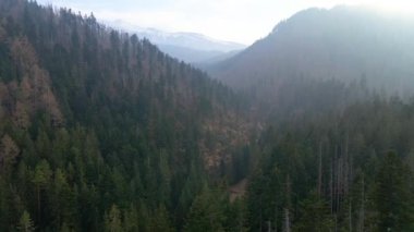 Polonya 'nın Zakopane kenti dağ sırasındaki insansız hava aracı şehrin yakınlarında kış karı görüyor