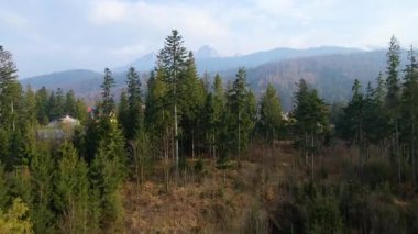 Polonya 'nın Zakopane kenti dağ sırasındaki insansız hava aracı şehrin yakınlarında kış karı görüyor