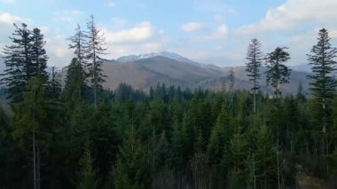 Polonya 'nın Zakopane kenti dağ sırasındaki insansız hava aracı şehrin yakınlarında kış karı görüyor