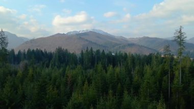 Polonya 'nın Zakopane kenti dağ sırasındaki insansız hava aracı şehrin yakınlarında kış karı görüyor