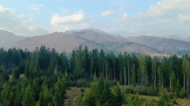 Polonya 'nın Zakopane kenti dağ sırasındaki insansız hava aracı şehrin yakınlarında kış karı görüyor