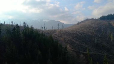 Polonya 'nın Zakopane kenti dağ sırasındaki insansız hava aracı şehrin yakınlarında kış karı görüyor