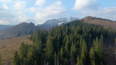 Polonya 'nın Zakopane kenti dağ sırasındaki insansız hava aracı şehrin yakınlarında kış karı görüyor