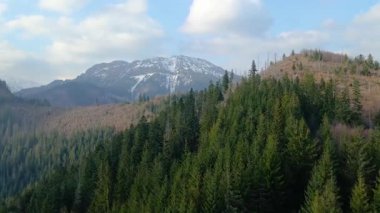 Polonya 'nın Zakopane kenti dağ sırasındaki insansız hava aracı şehrin yakınlarında kış karı görüyor