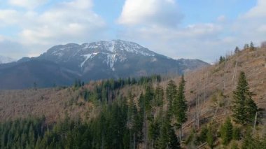 Polonya 'nın Zakopane kenti dağ sırasındaki insansız hava aracı şehrin yakınlarında kış karı görüyor
