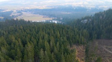 Polonya 'nın Zakopane kenti dağ sırasındaki insansız hava aracı şehrin yakınlarında kış karı görüyor