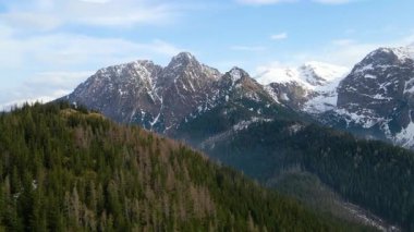 Zakopane Polonya yakınlarındaki kozalaklı orman sıradağları kış karı