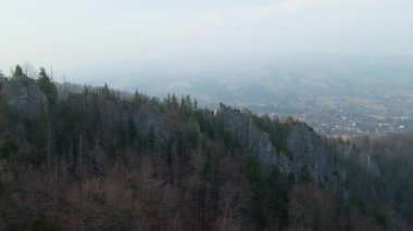 Zakopane Polonya yakınlarındaki kozalaklı orman sıradağları kış karı