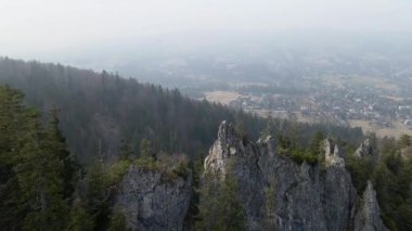 Zakopane Polonya yakınlarındaki kozalaklı orman sıradağları kış karı