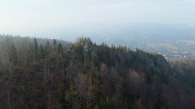 Zakopane Polonya yakınlarındaki kozalaklı orman sıradağları kış karı