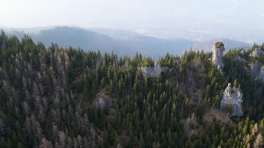 Zakopane Polonya yakınlarındaki kozalaklı orman sıradağları kış karı