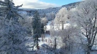 Dağlardaki turist kasabası Szklarska Poreba Polonya 'dan orman manzarası