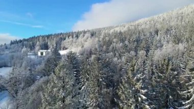 Kış manzarası dağları orman dronu mavi gökyüzünden uçuyor
