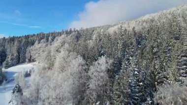 Kış manzarası dağları orman dronu mavi gökyüzünden uçuyor