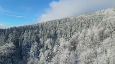 Kış manzarası dağları orman dronu mavi gökyüzünden uçuyor