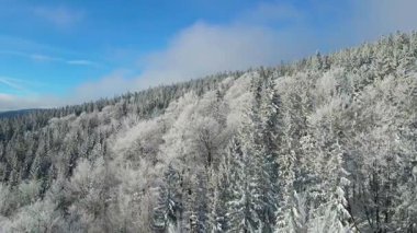 Kış manzarası dağları orman dronu mavi gökyüzünden uçuyor