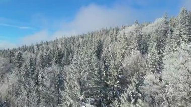 Kış manzarası dağları orman dronu mavi gökyüzünden uçuyor
