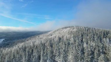 Kış manzarası dağları orman dronu mavi gökyüzünden uçuyor