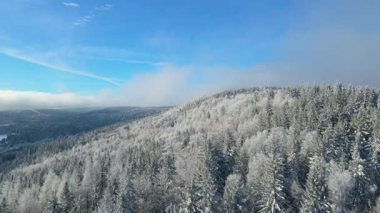 Kış manzarası dağları orman dronu mavi gökyüzünden uçuyor