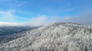 Kış manzarası dağları orman dronu mavi gökyüzünden uçuyor