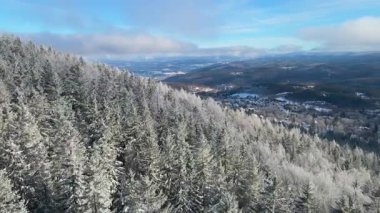 Kış manzarası dağları orman dronu mavi gökyüzünden uçuyor
