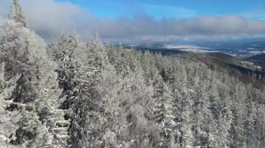 Kış manzarası dağları orman dronu mavi gökyüzünden uçuyor