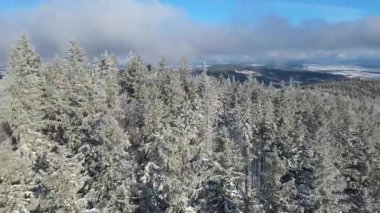 Kış manzarası dağları orman dronu mavi gökyüzünden uçuyor