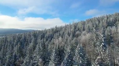 Kış manzarası dağları orman dronu mavi gökyüzünden uçuyor