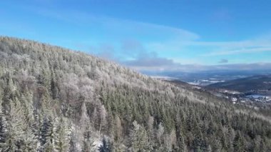 Kış manzarası dağları orman dronu mavi gökyüzünden uçuyor